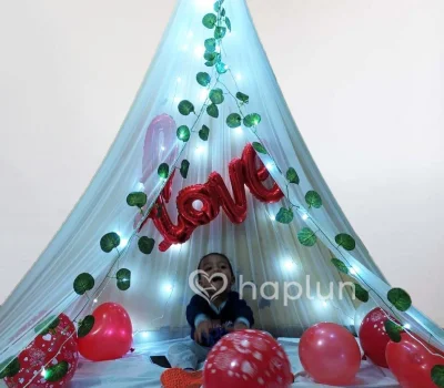 Canopy Decoration In Room