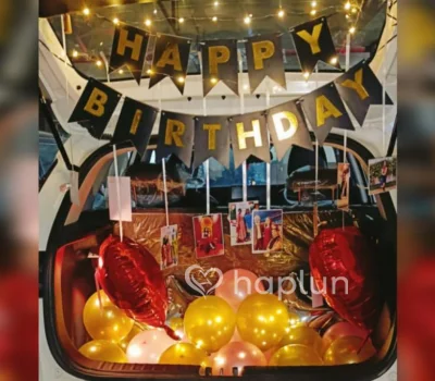 Car Dikki Decoration