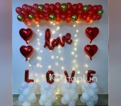 Proposal Theme Backdrop Decoration