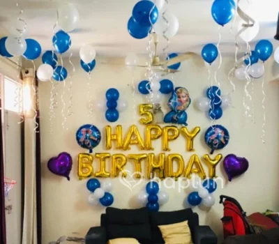 Frozen Theme Decoration