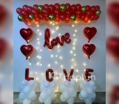 Proposal Theme Backdrop Decoration