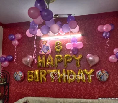 Sofia Princess Theme Decoration