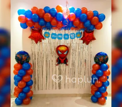 Spiderman Theme For 6 Month Birthday