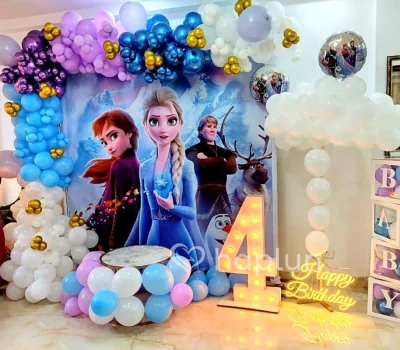 Surprise Frozen Theme Decoration