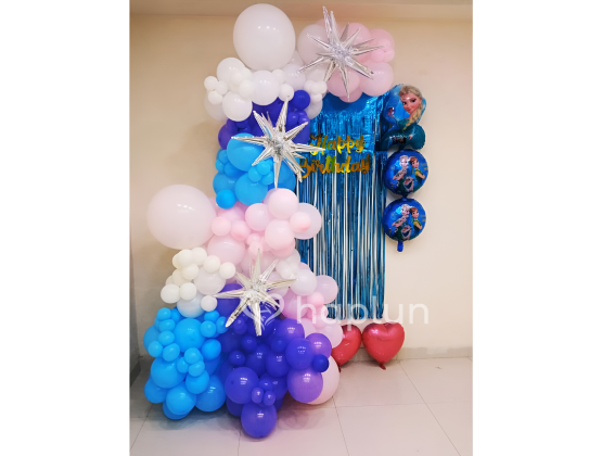 Disney Frozen Theme Decoration