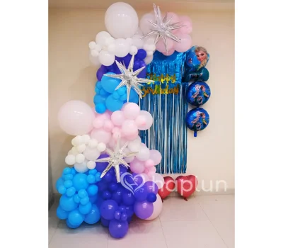 Disney Frozen Theme Decoration