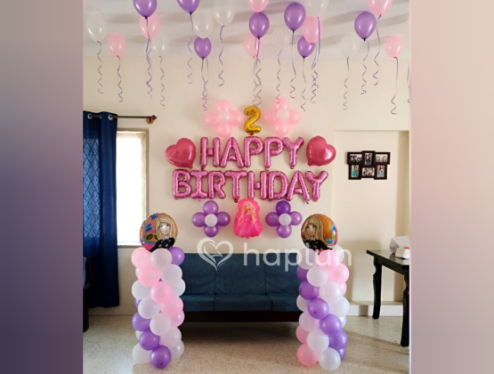 Princess Barbie Theme Decor