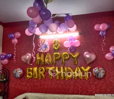 Sofia Princess Theme Decoration