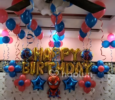 Spiderman Birthday Decoration