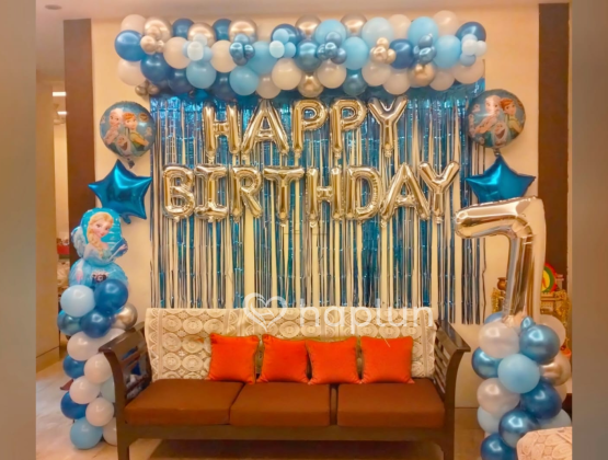 Frozen Theme Decoration For Kid's Birthday