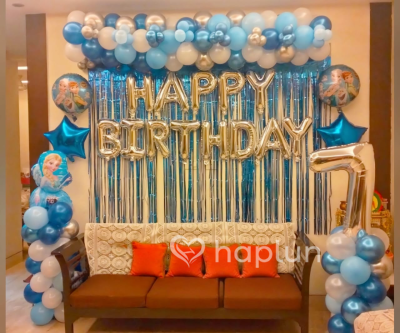 Frozen Theme Decoration For Kid's Birthday