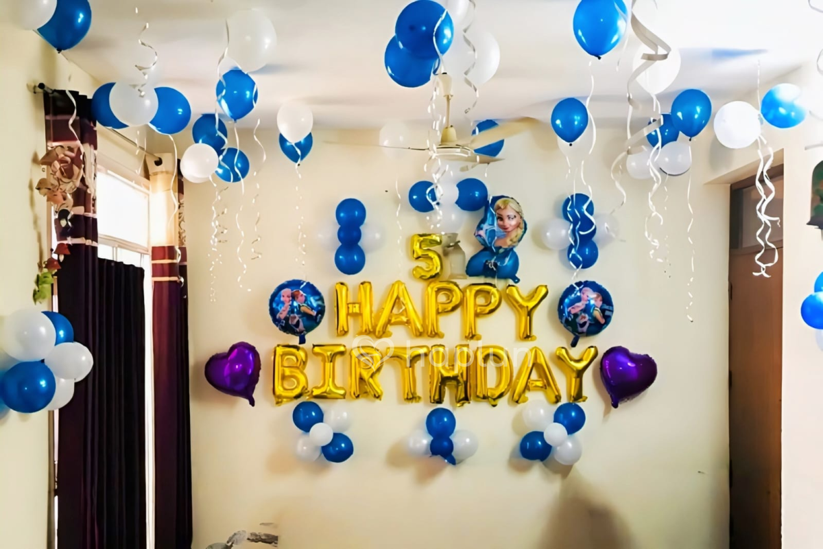 Frozen princess birthday decoration for girls
