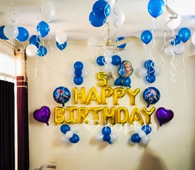 Frozen Theme Decoration