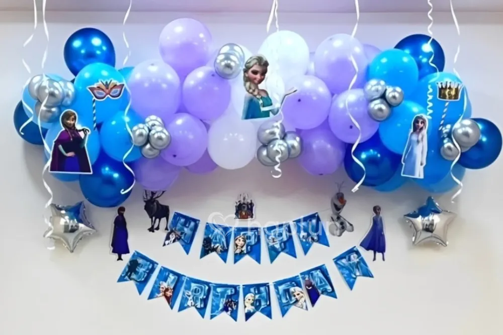 Frozen Princess Theme Decoration