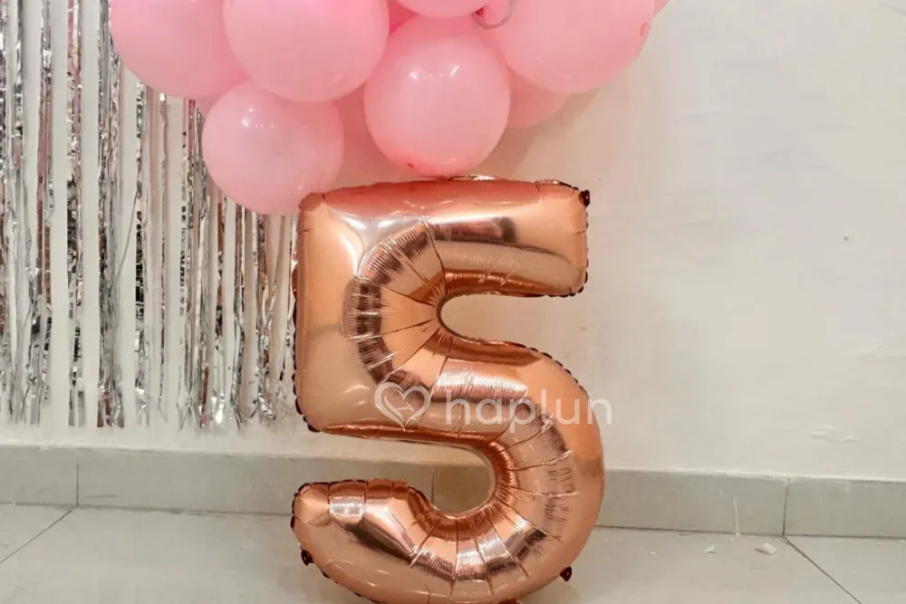 Labubu Doll Kids Birthday Decoration