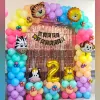 Colorful Jungle Theme Decoration