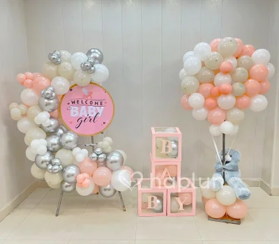 Baby Girl Welcome at Home