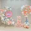 Baby Girl Welcome at Home