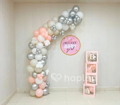 Classy Baby Girl Welcome at Home
