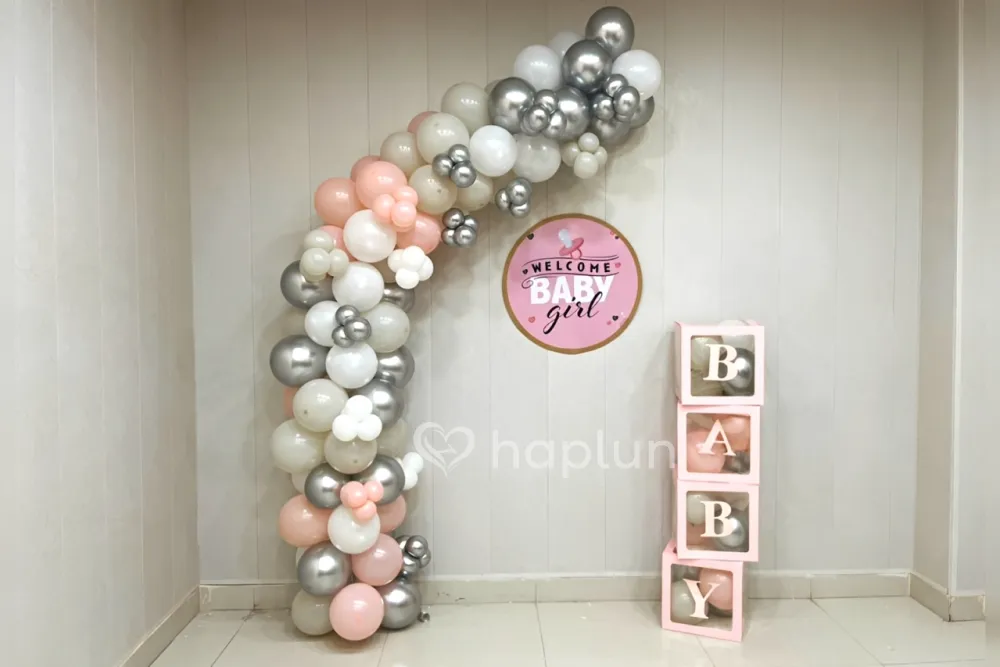 Classy Baby Girl Welcome at Home
