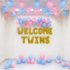 Little Twins Arrival Decor