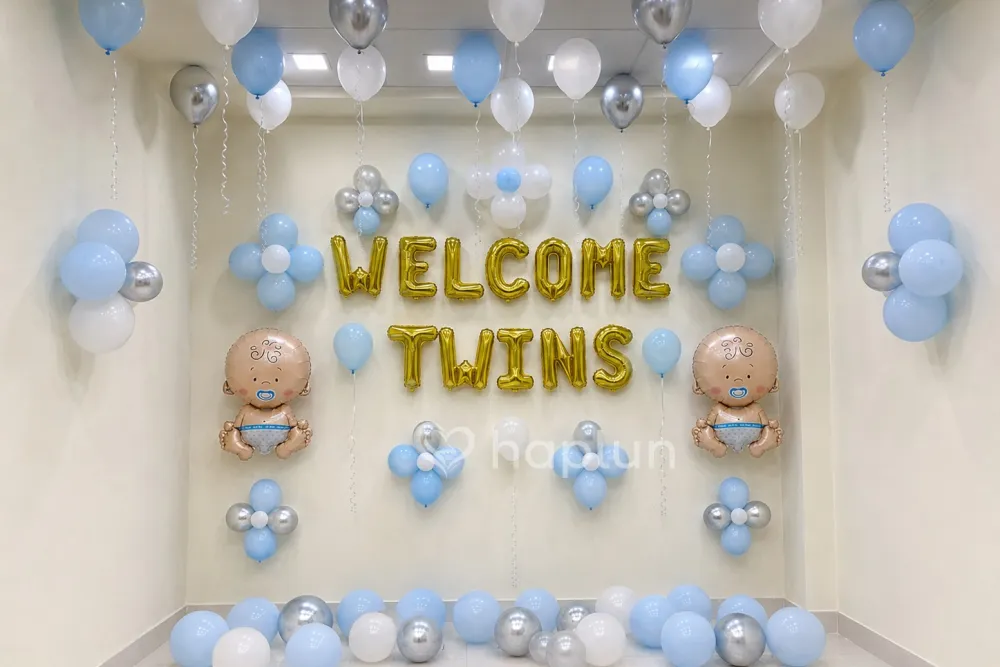 Twins Baby Boy Welcome Decor
