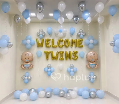 Twins Baby Boy Welcome Decor