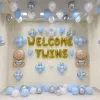 Twins Baby Boy Welcome Decor