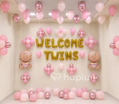 Twins Baby Girl Welcome Decor