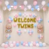 Whimsical Twins Decoration