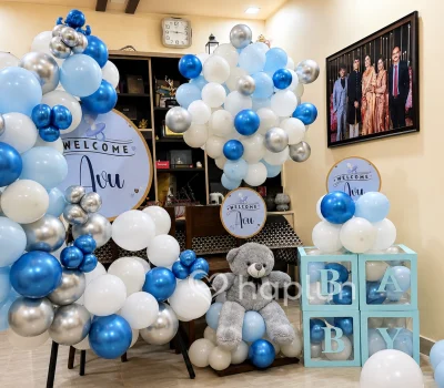Baby Boy Welcome at Home