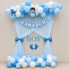 Surprise Baby Boy Arrival Decor