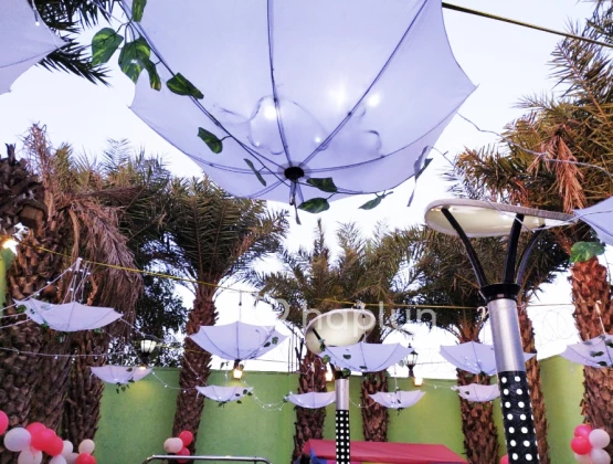 Umbrella Decoration in Garden