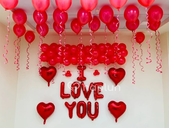 Cute Love Theme Decoration for Proposal